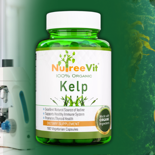 The Powerful Benefits of Kelp: Discovering the Nutritional Properties of This Marine Alga