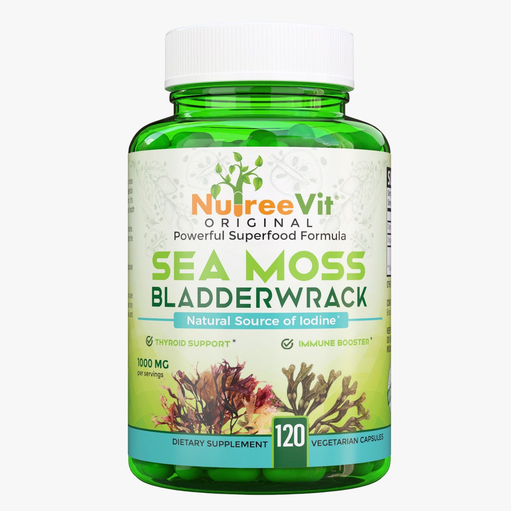 Sea Moss + Bladderwrack